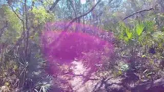 Malabar Scrub Sanctuary