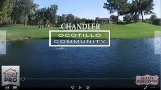 Chandler Ocotillo Community Information & Resource