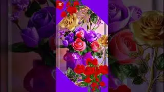 Эй санам, песня для настроения!#класснаяпесня #длянастроения #длявас #отдуши 