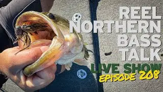 Reel Northern Bass Talk Livestream!