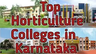 Top 10 Horticulture College in Karnataka