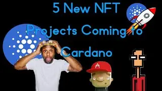 Cardano NFTs to the Moon! Top 5 Latest Cardano NFT Projects!