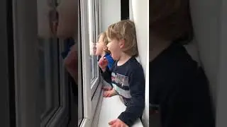 Window licking gross/fun lockdown early 2021