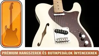 SelectGuitars - 2011 Fender Modern Thinline Telebration Telecaster