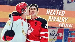 [heated rivalry] animal