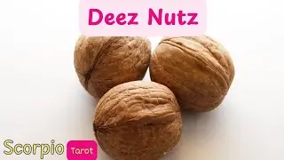 Scorpio Tarot *Deez Nutz!