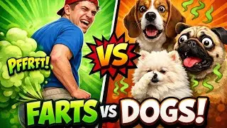 Farts vs Dogs 😂 | Dogs&rsquo; Funniest Reactions EVER!