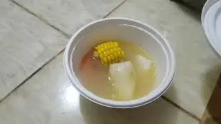 Compostable Bowl