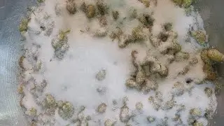 Tut mürəbbəsi resepti 💯 izahlı resept