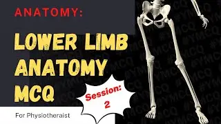 2. Lower Limb Anatomy MCQs for Physiotherapists | Hip, Knee, Foot | GSSSB AIIMS vs DHA MOH