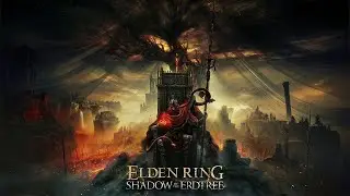 INDIAN GUY PLAYING ELDEN RING BEFORE  Shadow of the Erdtree Edition COMES
