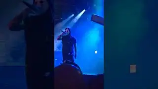 Live highlight  DIGGY GRAVES