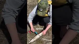 Как чистить рыбу