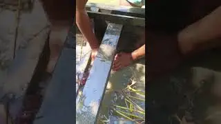 The boat capsized | boat capsized in the bahamas | boat capsized in the hudson river | more video