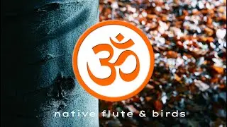 Native Flute & Birds | Positive Flight | Calm Music for Meditation, Sleep & Study