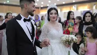 حفلة زفاف(جمال♡نازدار)جزء1 نيشان بعدري