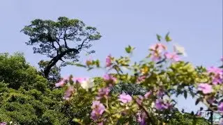 Rep&oacute;rter Eco | 17/03/2019