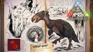 Ein Angry Bird, lecker Kibble & vier kaputte Gl&auml;ser | ARK: SE 🦖 Meister-Zoologe | Part 57