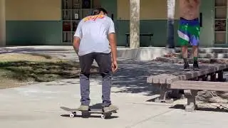moose clips