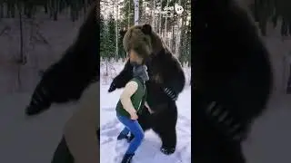 How Not To Wrestle Bear 🐻 #russia #formotherrussia #bear #streetrules #skippedlegday #fight #🇷🇺 #lol