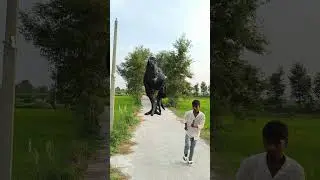 Giant Dinosaur Attack in the City | Epic VFX Scene 🦖🔥 Part 74 | VFX Short Film #VFX #EpicVFX #Shorts