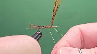 Pheasant Tail Variant - One Fly A Day