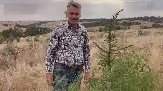 Seeding Victoria interviews Land Life