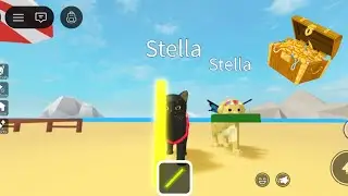 Dog and cat finding treasure!