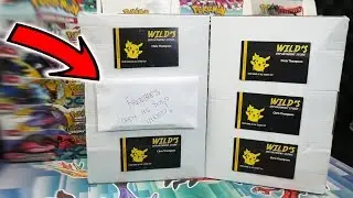 OPENING A WILDS DEPARTMENT STORE MASSIVE POKEMON CARE PACKAGE!!