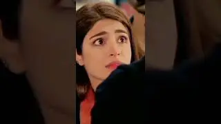 shlaer sha best rumens
