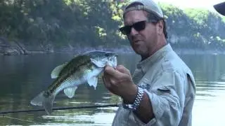 Kentucky Bass on Lake Cumberland