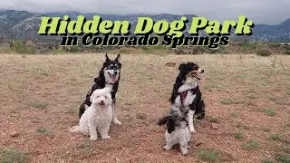 Dog Park at Red Rock Open Space & Dinner at Memorial Park / Prospect Lake in Colorado Springs