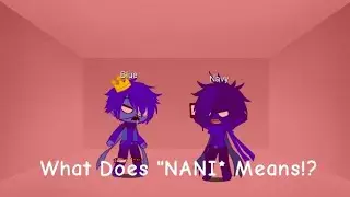 What Does 