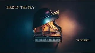 BIRD IN THE SKY - LATE NIGHT ROMANTIC PIANO