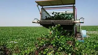 Water Hyacinth Harvester