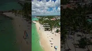 &iquest;A qui&eacute;n te llevar&iacute;as a este para&iacute;so con W2fFly?