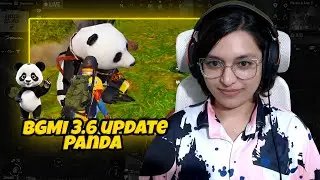 BGMI 3.6 update | Solo vs Squad Funny PUBG Live Highlights