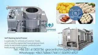 professional manufacturer tunnel freezing#machine #tunnel freezing