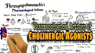 Cholinergic Drugs: Pharmacological actions of Parasympathomimetics, Direct acting drugs