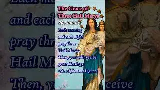 Three Hail Marys | Miracle Prayers for Mercy, Healing, Peace | 20 January
