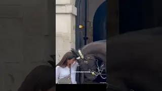 King&rsquo;s Horse Recognised A Good Soul!