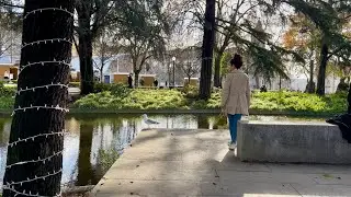 Jardim da Cordoaria, das Virtudes e Palácio de Cristal 