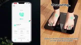 How to Quickly Set and Use the FG2019LB-F Smart Scale📱