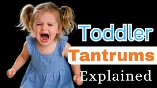 Toddler Tantrums Explained:(Causes, Triggers, and Smart Ways to Respond) 