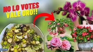Prepara COMPOST Casero para FLORECER Tus Plantas, Te encantara!