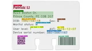 Darknet/YOLO and text objects