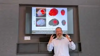 How tDCS polarizes the highly folded cortex: A problem and an explanation (Marom Bikson)