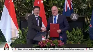 Singapore and New Zealand upgrade ties to Comprehensive Strategic Partnership