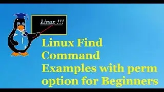 how to use find command in Linux with examples