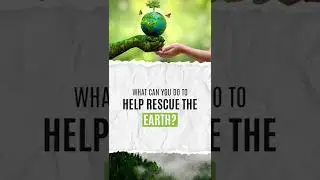 What Can you Do to Help rescue The Earth?